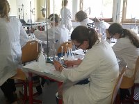Schule 1203 : Schule